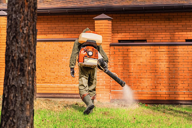 Trusted Rodent Control service in Lebanon, OH - Nex Pest Control